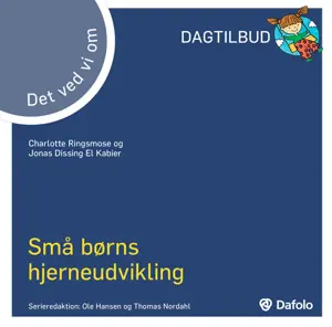 Det ved vi om - små børns hjerneudvikling E-bog