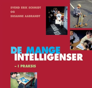 De mange intelligenser i