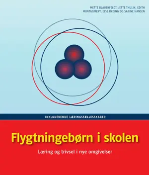 Flygtningebørn i skolen E-bog